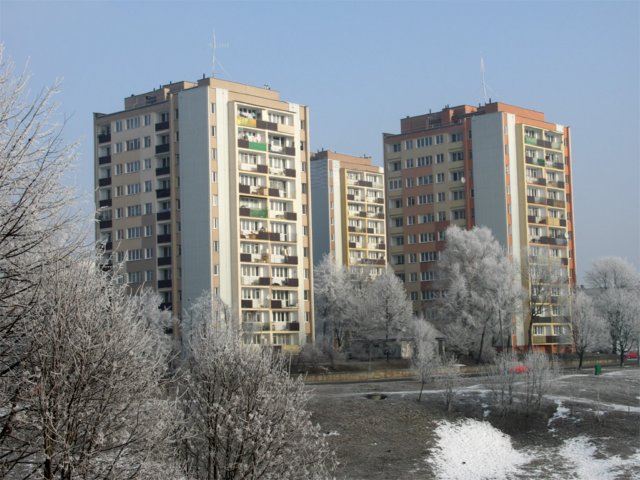 pict0649.jpg